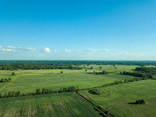 Fototapeta na wymiar drone image. aerial view of empty cultivated fields