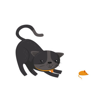 Gray cat hunting on mouse. Pet with shiny eyes and orange collar. Cartoon character of domestic animal. Flat vector for poster or banner