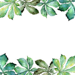 Green chestnut leaves in a watercolor style. Frame border ornament square. Aquarelle leaf for background, texture, wrapper pattern, frame or border.
