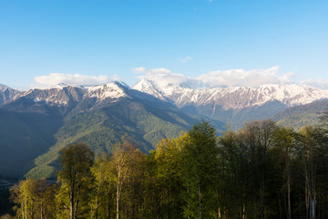 Fototapeta premium Caucasus mountain range at an altitude of 2320 m in Sochi April 2018
