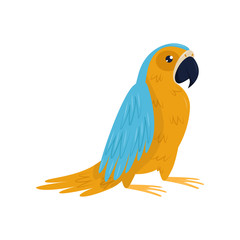 Cartoon icon of parrot with blue and orange feathers. Tropical bird. Flat vector element for advertising poster, banner or flyer
