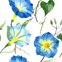 Ipomoea blue. Floral botanical flower. Seamless background pattern. Fabric wallpaper print texture.. Aquarelle wildflower for background, texture, wrapper pattern, frame or border.