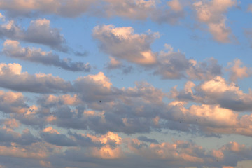 Twilight sunset sky, background with multicolored clouds. And small birds fly among the clouds.