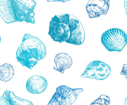 Seashells seamless pattern for your ocean life design. Elegant sea shells background. Summer template collection  illustaration