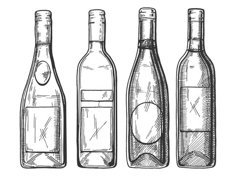 Vector illustration of a different red and white wine and champaign bottles set. Vintage engraving style.