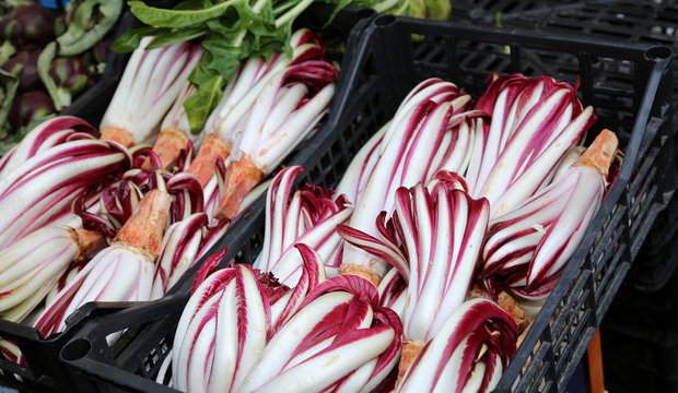 stall with late radicchio on sale at the market