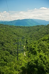 Obraz premium Landscape with green forest and power line between trees.