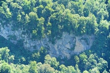 Rock on a cliff in the forest and alpine meadows.