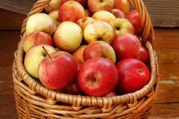 Naklejka na ściany i meble Bright tasty ripe apples in a basket