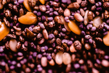 closeup Small seeds superfoods, chia, golden flax and sesame