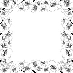 Prunus persica - Peach Flower Blossom Outline Border