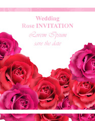 Wedding Invitation with roses Vector. Beautiful rose flowers decor. Elegant decor vintage backgrounds