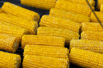 Cooking corn on the grill