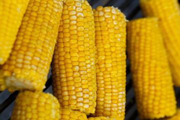 Cooking corn on the grill