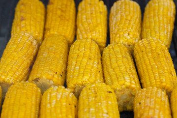 Cooking corn on the grill