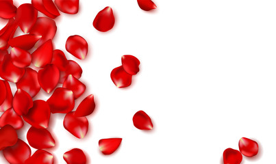 Red rose petals and beads on white background.Happy Valentines Day. Vector holiday illustration. Festive decoration. Wedding background.