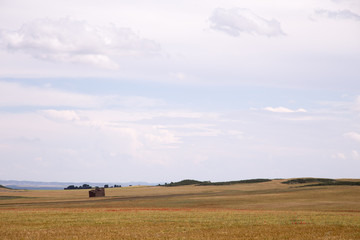 Obraz premium Fields in spring in the province of Huesca. Spain