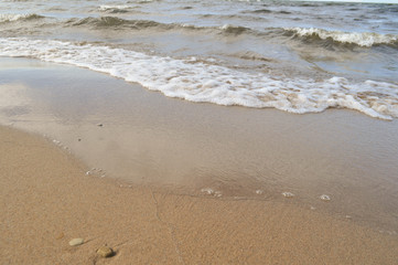 sand on the beach of the sea on a sunny day