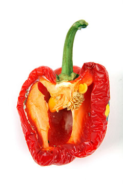 Verschrumpelte Paprika