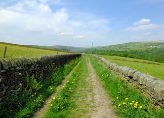 Fototapeta na wymiar long straight country lane with dry stone walls surrounded by green pasture with wildflowers in beautiful early summer sunlight with blue sky and clouds with pennine hills visible in the distance