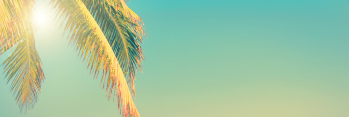 Tropical beach and palm tree panoramic background, sunny sky, vintage summer concept with copy space