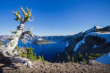 July 2017 : Beautiful scenery summer view of Crater Lake, Oregon, USA