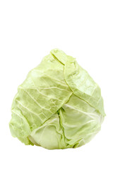 Fresh cabbage head isolated on white background