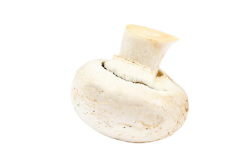 Fresh mushrooms champignons on white background.