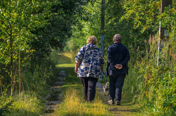 Two people with a dog are walking along the road in the countryside