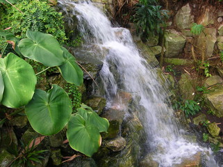 Waterfall