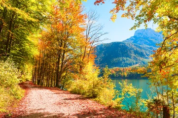 Cercles muraux Automne Autumn trees with colorful leaves on the shore of lake in Austrian Alps.