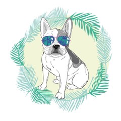 Puppy Pug in a Headband on pink background. Vector illustration.