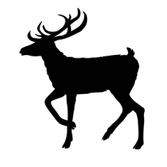 deer silhouette, vector, illustration
