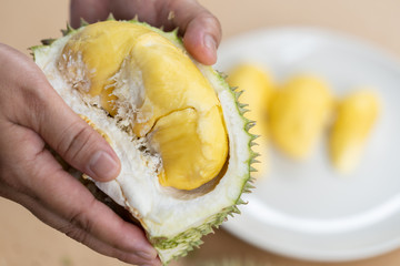 The hands are durian peels, durian yellow meat, eat very fresh. Handle durian show the yellow durian meat to eat. Tropical seasonal fruit, king of fruit from Thailand.