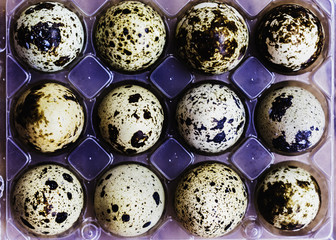 Quail eggs with wooden background