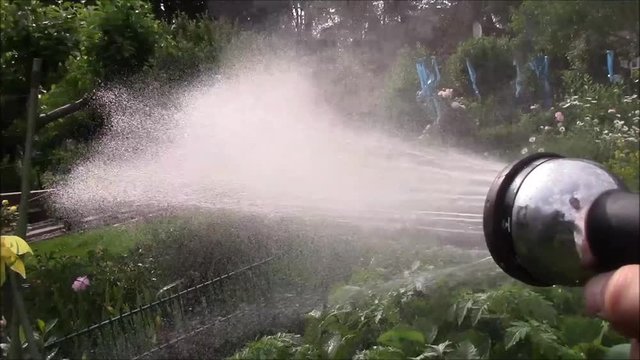 spr&uuml;hen und sprengen garten gartschlauch mit wasser