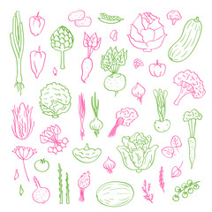 Vector hand drawn doodle vegetables icons set illustration