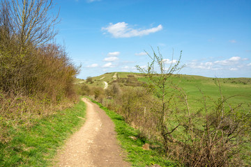 Fototapeta na wymiar Walking trail acroos the hills or pass to Ivinghoe Beacon seen in early Spring - 2