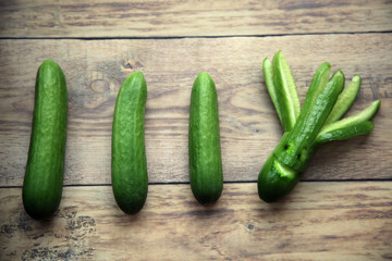 Frische Gurken