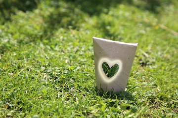 Herz im Pappkarton auf grüner Wiese