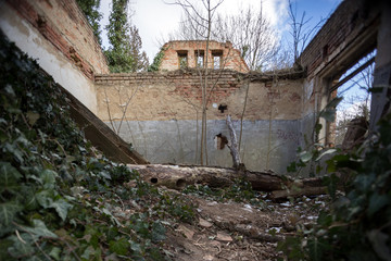 Abandoned Cemetery, Prague, Czech Republic.