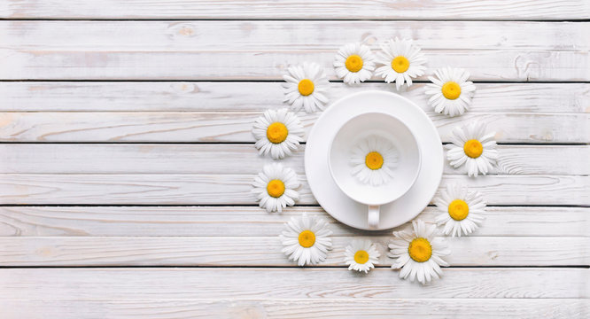 Fototapeta Empty white tea cup with chamomile flowers on gray wooden table. Top view.