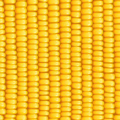 Corn cob. Organic food seamless pattern. Corncob natural meal.