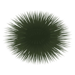 Obraz premium ウニ