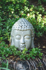 Buddha head on stone with green plants around in summer