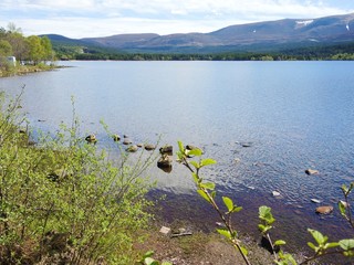 An image of Loch Morlich in Cairngorm National Park, Scotland.