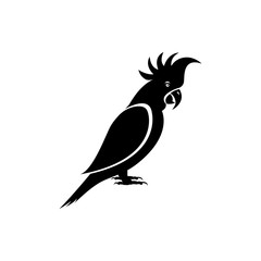 parrot