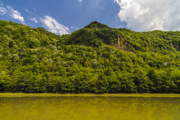 Landscape with Olt river in Romania surrounded by forest and mountains