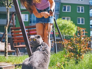 Girl walking with a cat