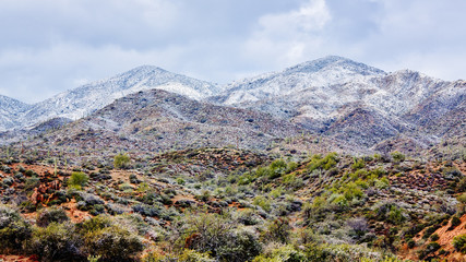 Desert Mountain Covered in Snow